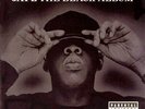 Jay-Z The Black Album [Explicit Content] (2 Lp's) Records & LPs New