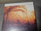 APHEX TWIN - Selected Ambient Works VOLUME II - 3 LP - OOP Vinyl