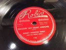SONNY TERRY-RED ROBIN 110-DOGGIN MY HEART AROUND/HARMONICA HOP-NYC BLUES 78 EXC