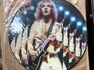 PETER FRAMPTON  FRAMPTON COMES ALIVE 1978 LTD ED NUMBERED PICTURE DISC SEALED LP