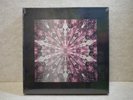 BLACKPINK 1st The Album Vinyl LP Box Set Sealed
