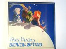 PINK FAIRIES NEVER NEVER LAND LP 2021 REPRESS IMPORT VINYL 1971 U.K. HARD ROCK