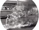 RAGE AGAINST THE MACHINE - RAGE AGAINST THE MACHINE (PICTURE DISC) NEW VINYL