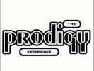 The Prodigy The Prodigy Experience (Vinyl) 12