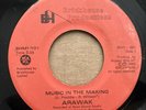 unknown roots ARAWAK Music In The Making 45 New Day