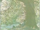 John Lennon Plastic Ono Band 