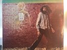 DON CARLOS - Just A Passing Glance - Rare RAS Reggae LP - 1984 Rasta Records