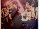 New York Dolls In Too Much, Too Soon LP SEALED