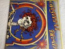 Greatful Dead  Double Album Self Titled Grateful Dead 1971 …Oldie But Goodie