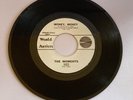 THE MOMENTS - S. Marriott - You really got me (KINKS) - Money Money - DEMO PROMO