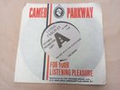 The Swans The Boy With the Beatle Hair Cameo C-302 Promo Demo