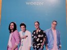 Weezer - Teal Album translucent teal