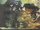WALL OF VOODOO - shadowov LP