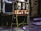 The Stone Roses - Sally Cinnamon | [Red Vinyl LP] | Black