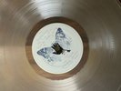 Julian Lennon Everything Changes numbered & Pressed On Clear Vinyl New & Sealed