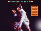 Elvis Presley FTD Vinyl Doppel LP 
