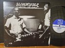 J.B. Hutto & The Hawks ‎– Slidewinder 1973 Delmark Records Vinyl LP Blues Gutiar