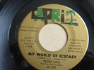 REGGIE SOUL My World Of Ecstasy US Capri Records original 7