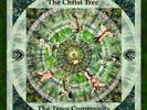 The Christ Tree by Trees Community (Record, 2020) NEW SEALED