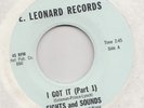 FUNK / BREAKS -- SIGHTS AND SOUNDS -- I GOT IT