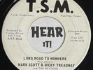 Hot Melodic TX Country Teen Rockabilly 45 MARK SCOTT & DICKY TREADWAY on TSM mp3