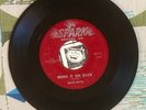 Mister Ruffin 45 Bring it on Back 1955 Riff Ruffin R&B Spark G+