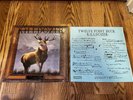 Killdozer Twelve Point Buck Vinyl LP 1989 Touch & Go Records Punk Butch Vig OOP