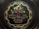 1920s STRING BAND: FIVE HARMANIACS - ‘CONEY ISLAND WASHBOARD’ VICTOR 78 EE+