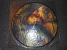 DEFECATION LP PURITY DILUTION RARE PICTURE DISC EX NAPALM DEATH GODFLESH