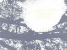 COMETS ON FIRE: FIELD RECORDINGS FROM THE SUN (LP vinyl *BRAND NEW*.)