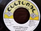 Ghetto Tribulation - Black Council