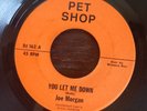 You Let Me Down - Joe Morgan