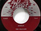 The PELICANS 45 Aurelia / White Cliffs of Dover PARROT Repro MINT- Doowop Sw 245