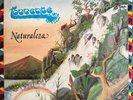 GRUPO TORRENTE - Naturaleza / NICARAGUA LATIN SOUL FUNK SALSA LP Poder del Alma