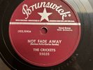 Rockabilly 78 The Crickets - Not Fade Away/Oh Boy BRUNSWICK E/E-