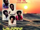 WILDFIRE TIME IS THE ANSWER NEW LP