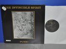 The Invincible Spirit Push  12