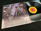 Steely Dan 