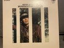 DAVID ALLAN COE Penitentiary Blues - VINYL LP Orig. VG