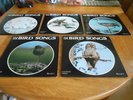 Peterson Field Guide To the Bird Songs of Britain and Europe: Complete set of 15
