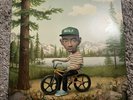 Tyler, The Creator - Wolf (original, pink translucent) 2LP vinyl No CD
