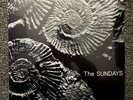 The Sundays • Reading Writing & Arithmetic • Vinyl Lp • Sealed • 2018 RSD