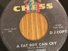 RARE NORTHERN SOUL 45 - BILLY STEWART - A FAT BOY CAN CRY - CHESS VG+ DJ