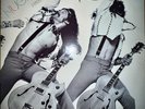 TED NUGENT Free For All vinyl LP  alternate cover. 1st Edition
