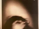 Set Fire To Flames – Telegraphs In Negative / Mouths Trapped In Static 2LP USED