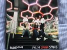 Blossoms ‎– Foolish Loving Spaces - Vinyl LP
