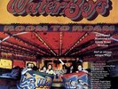 The Waterboys - Room To Roam Half Speed Master (NEW VINYL LP)