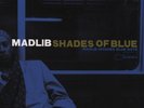 Madlib - Shades of Blue - Double 180g Vinyl LP - Music on Vinyl Pressing  MINT