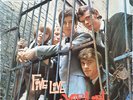 The Yardbirds - Five Live Yardbirds - Used Vinyl Record - Q12230A