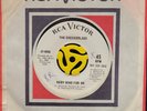 Garage 45 - The Checkerlads - Baby Send For Me - 1966 Rca Promo HEAR